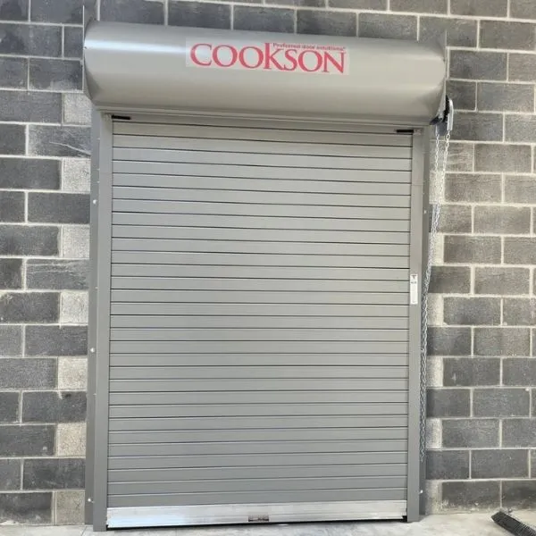 Sectional door project